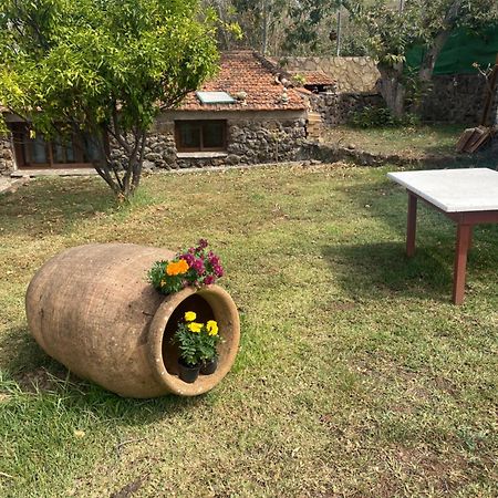 Rural House To Take A Break, La Serreria 25 - Private Garden Tacoronte Buitenkant foto