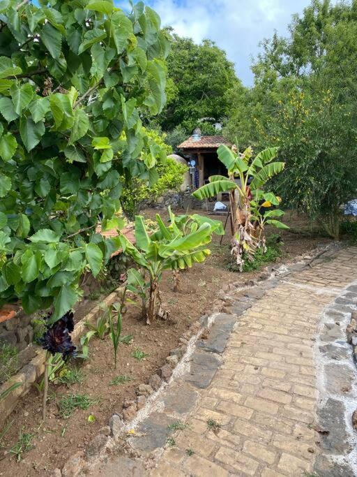 Rural House To Take A Break, La Serreria 25 - Private Garden Tacoronte Buitenkant foto