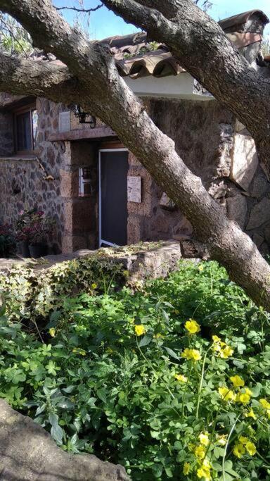 Rural House To Take A Break, La Serreria 25 - Private Garden Tacoronte Buitenkant foto
