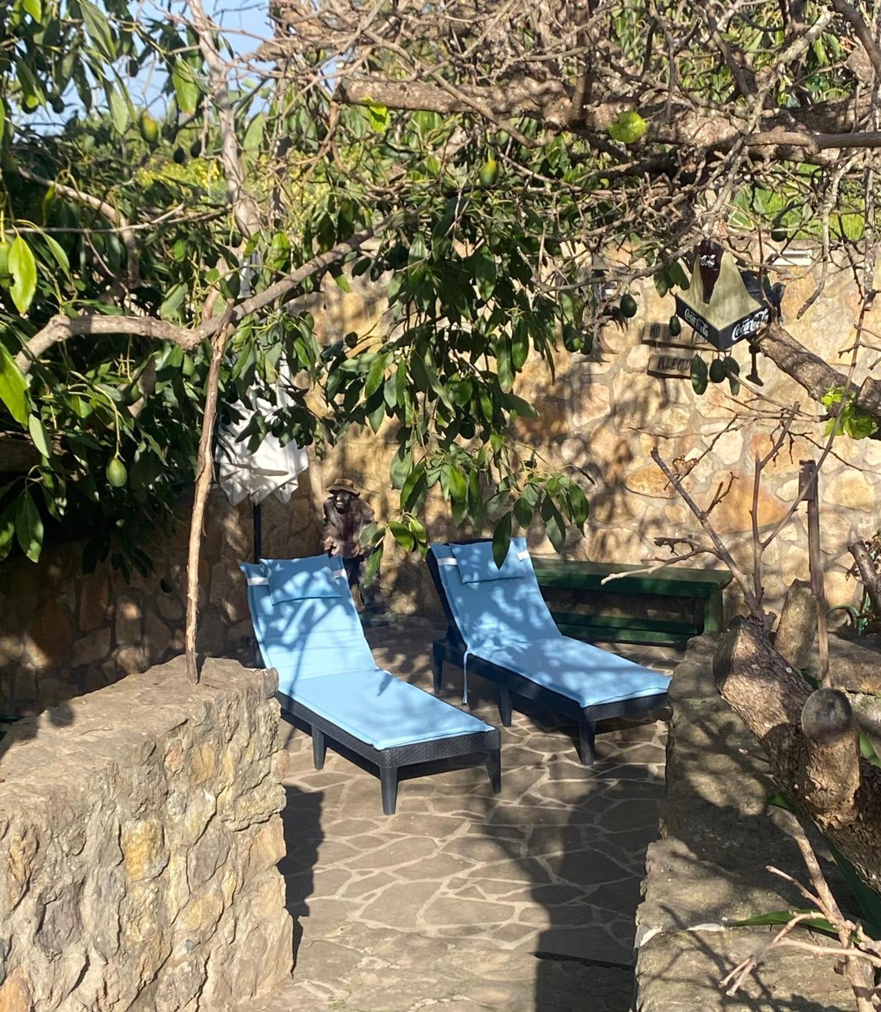 Rural House To Take A Break, La Serreria 25 - Private Garden Tacoronte Buitenkant foto