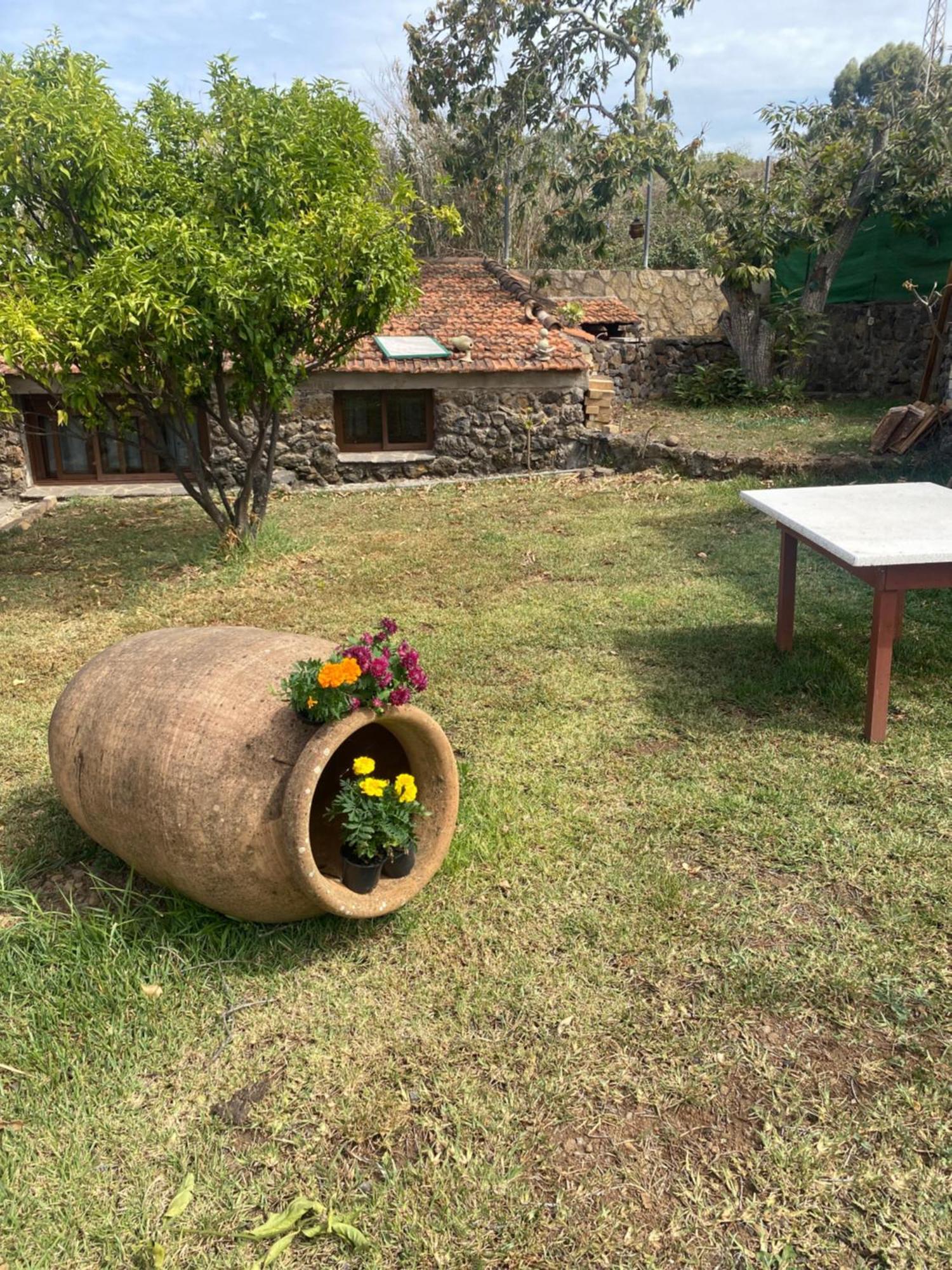 Rural House To Take A Break, La Serreria 25 - Private Garden Tacoronte Buitenkant foto