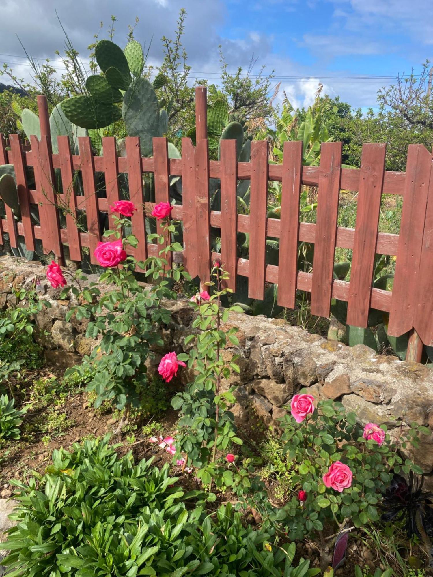 Rural House To Take A Break, La Serreria 25 - Private Garden Tacoronte Buitenkant foto