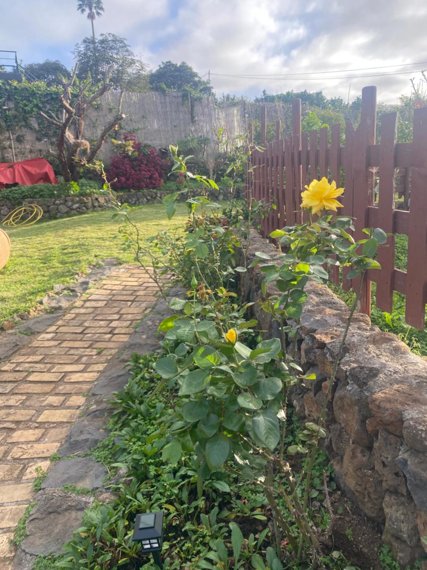 Rural House To Take A Break, La Serreria 25 - Private Garden Tacoronte Buitenkant foto