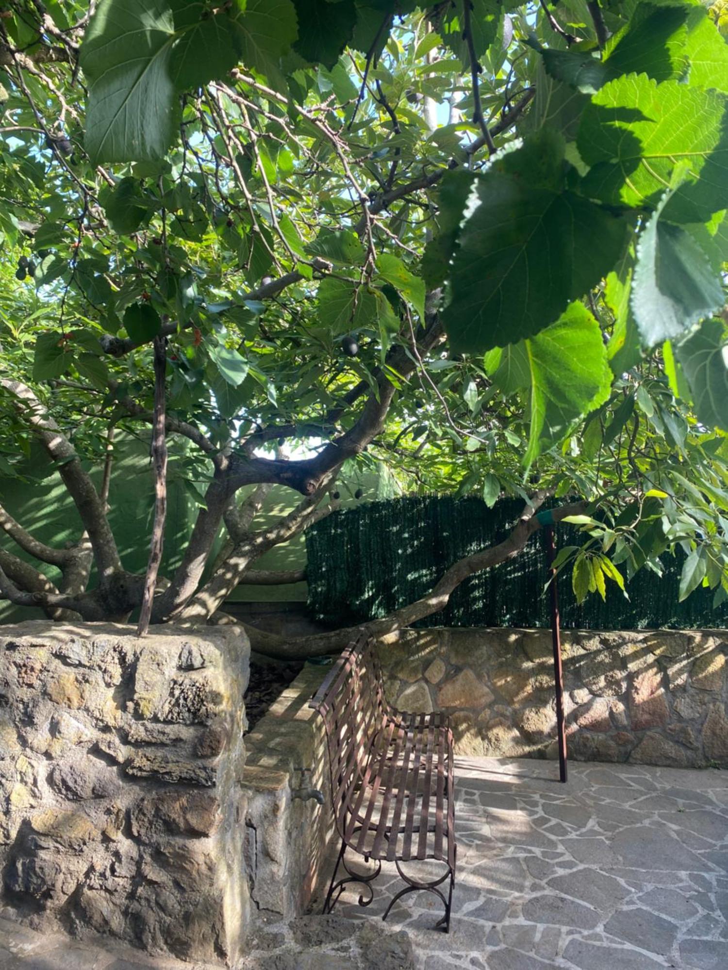 Rural House To Take A Break, La Serreria 25 - Private Garden Tacoronte Buitenkant foto
